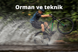 Orman ve teknik